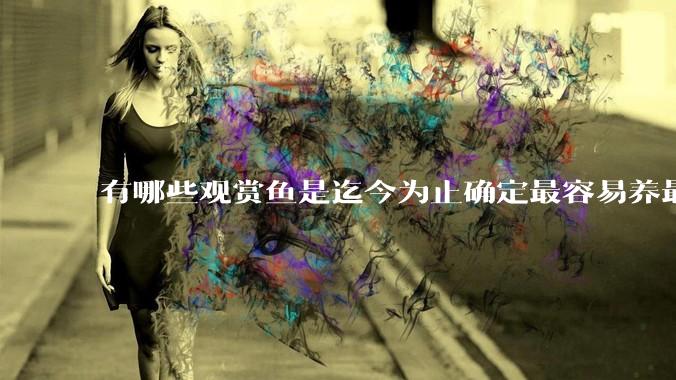 有哪些观赏鱼是迄今为止确定最容易养最不容易死的？