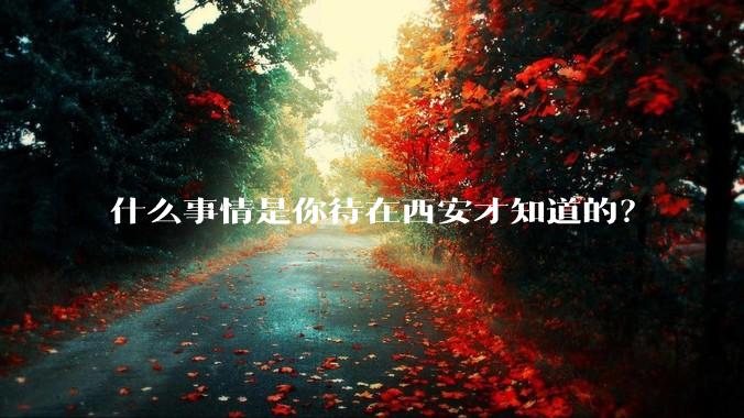 什么事情是你待在西安才知道的？